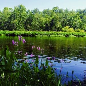 Original Photo Art Print